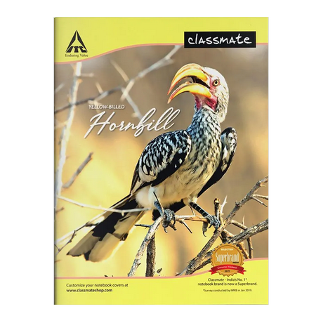 Single Line Classmate Notebook, 172 pages, 24.0 cm x 18.0 cm, Back Pressed - Center Stapled